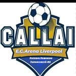 Arena Liverpool